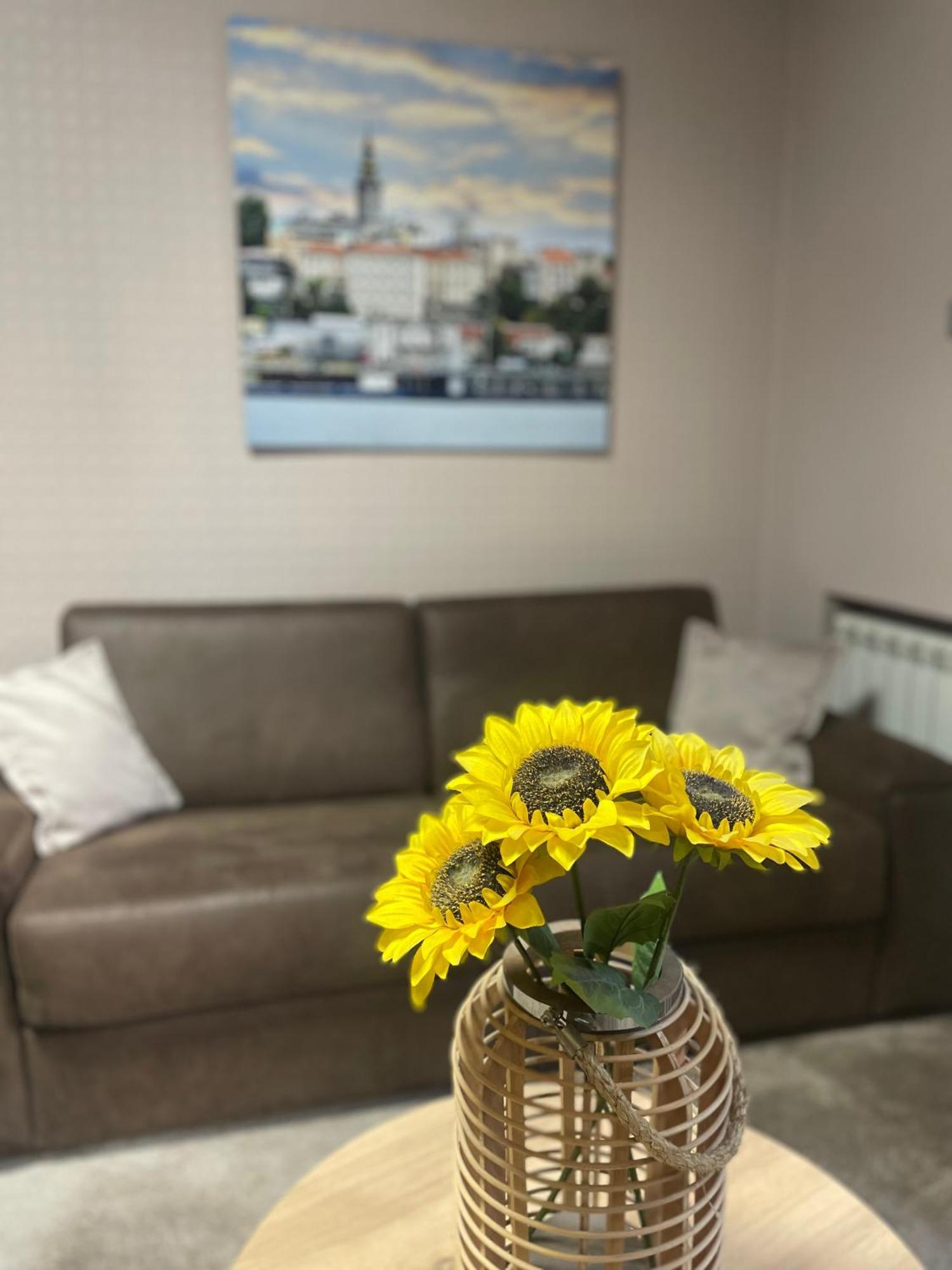 City Code In Joy Belgrad Exterior foto